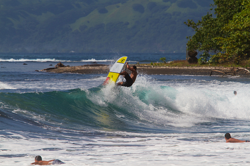 Madeiro pro seq 3895